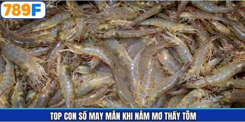 Top những giải mã gắn liền khi mơ thấy tôm Top những giải mã gắn liền khi mơ thấy tôm