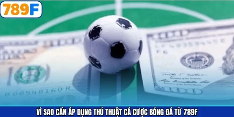 Vì sao cần áp dụng thủ thuật cá cược bóng đá từ 789F Vì sao cần áp dụng thủ thuật cá cược bóng đá từ 789F