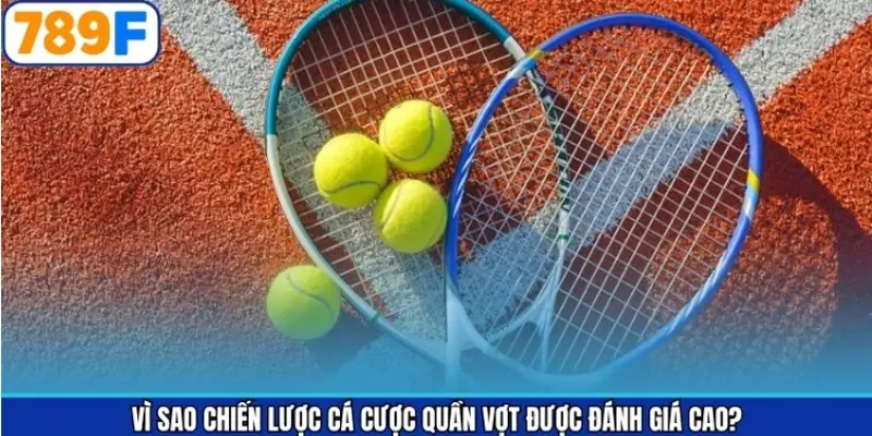Vì sao chiến lược cá cược quần vợt được đánh giá cao Vì sao chiến lược cá cược quần vợt được đánh giá cao