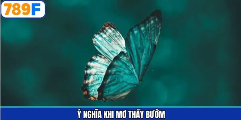 Ý nghĩa khi mơ thấy bướm đánh số gì theo tâm linh