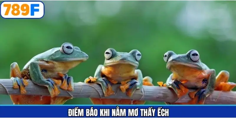 Ý nghĩa từng hình ảnh mơ thấy ếch đánh con gì