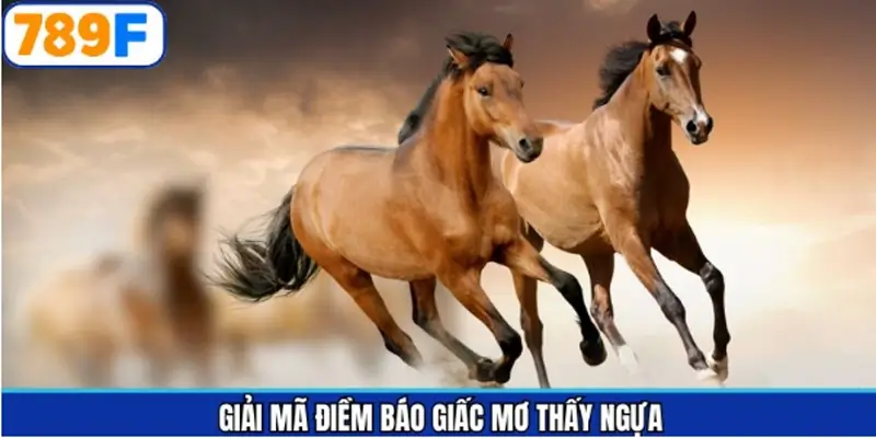 Ý nghĩa từng hình ảnh mơ thấy ngựa đánh con gì Ý nghĩa từng hình ảnh mơ thấy ngựa đánh con gì