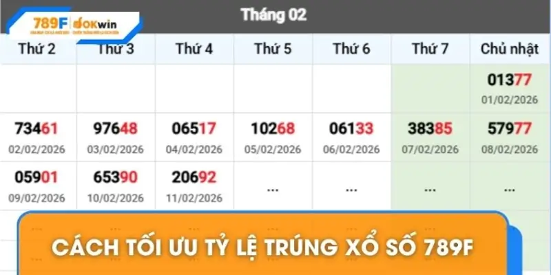 Cách tối ưu tỷ lệ trúng xổ số 789F cho người mới Cách tối ưu tỷ lệ trúng xổ số 789F cho người mới